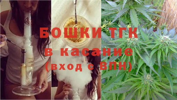 apvp Богданович