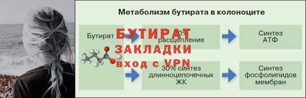 apvp Богданович
